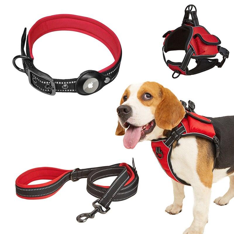 Collars, Leashes & Harnesses - God's Girl Gifts And Apparel