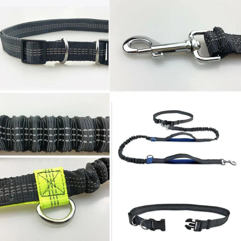 Hands-Free Reflective Jogging Leash - God's Girl Gifts And Apparel