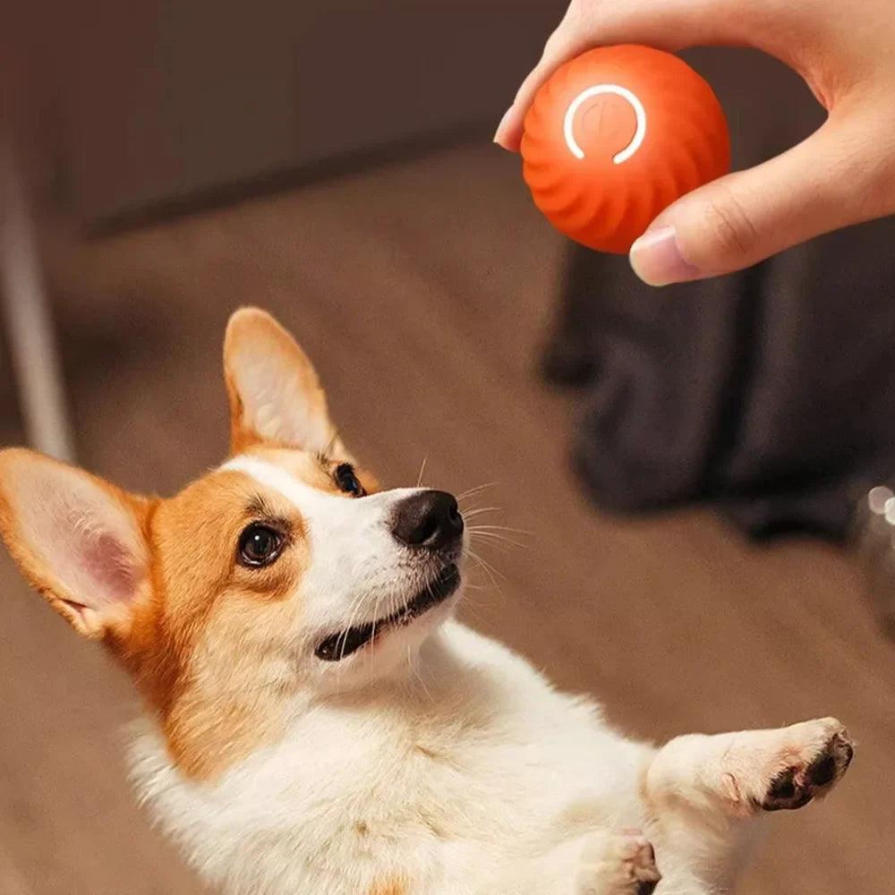 Interactive Smart Ball Dog Toy - God's Girl Gifts And Apparel