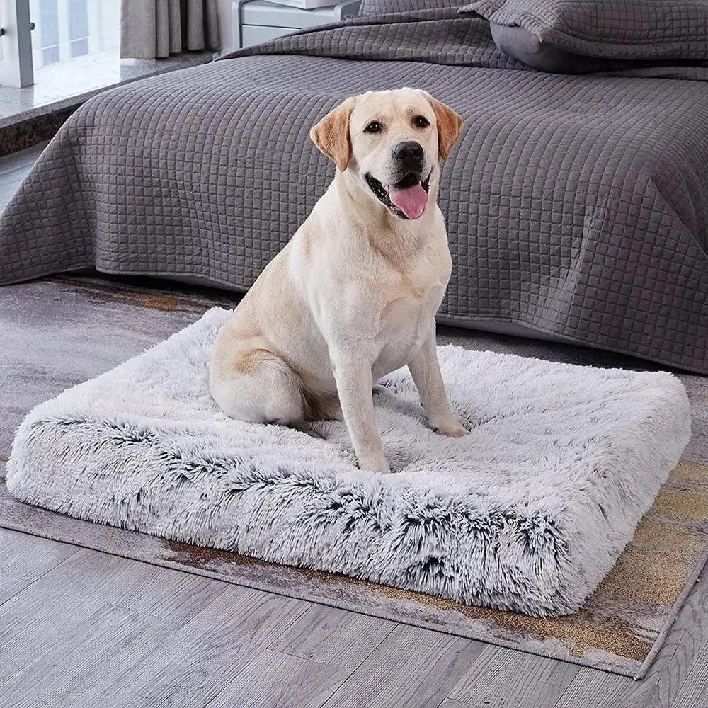 Orthopedic Foam Plush Dog Bed with Non-slip Bottom - God's Girl Gifts And Apparel
