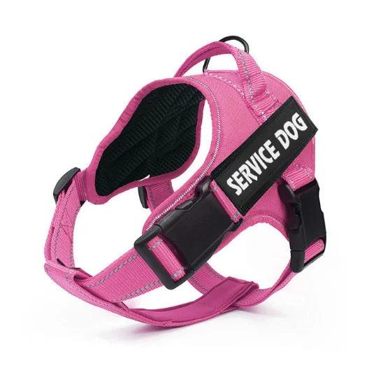 Personalized Reflective Dog Harness and No-Pull Leash Set - God's Girl Gifts And Apparel