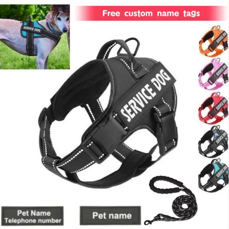 Personalized Reflective Dog Harness - God's Girl Gifts And Apparel